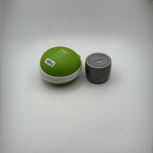 EWA A103 Pro Mini Portable Bluetooth Speaker with Travel Case